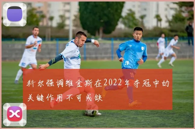 科尔强调维金斯在2022年夺冠中的关键作用不可或缺